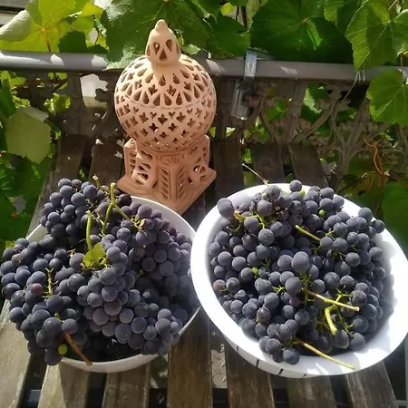 Kleines Haeuschen Am Rheinsteig *