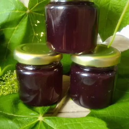 Kleines Haeuschen Am Rheinsteig アパート