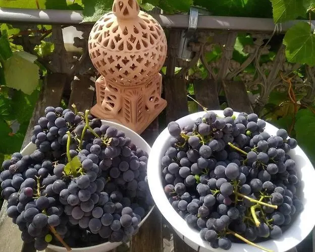 Kleines Haeuschen Am Rheinsteig *